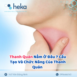 Thanh Quản Nằm Ở Đâu ? Cấu Tạo Và Chức Năng Của Thanh Quản