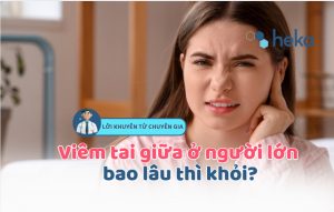 Viêm Tai Giữa ở Người Lớn Bao Lâu Thì Khỏi? Lời Khuyên Từ Chuyên Gia
