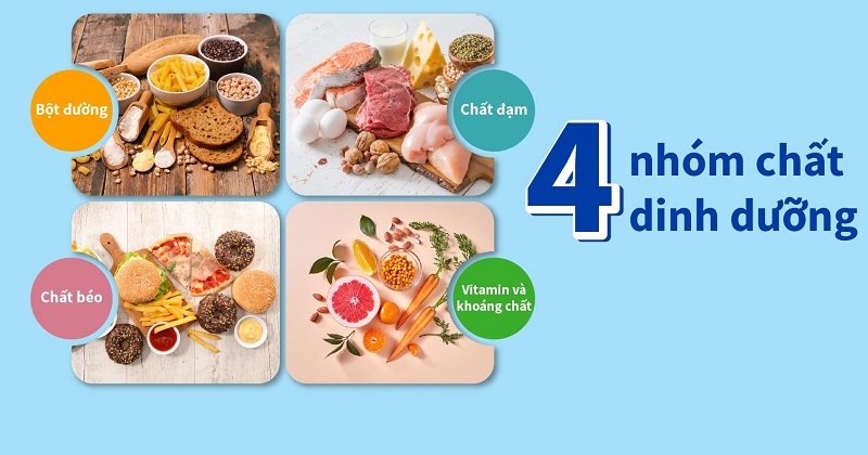4 nhóm thực phẩm thiết yếu cho một cơ thể khỏe mạnh