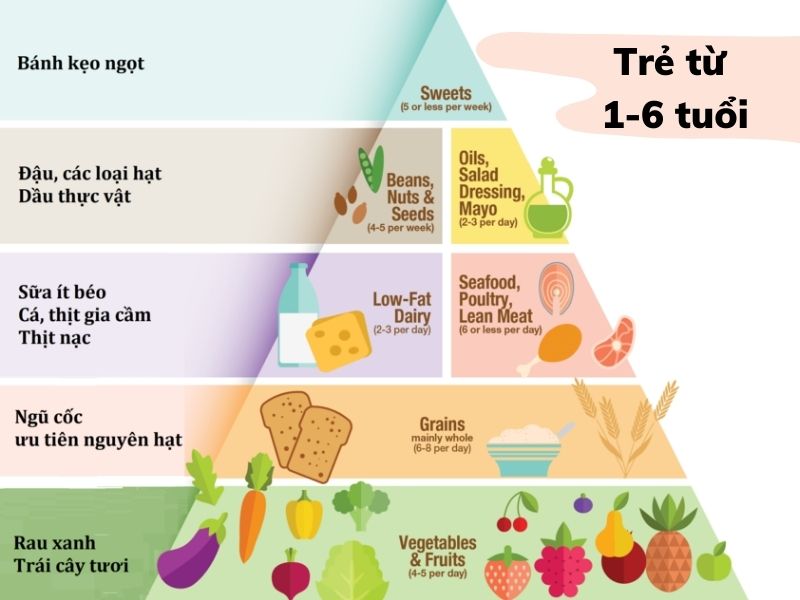 Chế độ dinh dưỡng cho trẻ em theo từng độ tuổi và gợi ý thực đơn