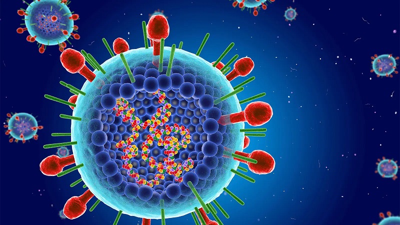 Virus hợp bào hô hấp (RSV) là gì? Chúng nguy hiểm thế nào?