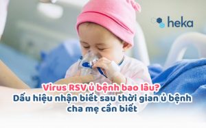 Virus Rsv ủ Bệnh Bao Lâu? Dấu Hiệu Nhận Biết Sau Thời Gian ủ Bệnh Cha Mẹ Cần Biết