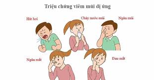 Dấu Hiệu Viêm Mũi Dị ứng Thường Gặp