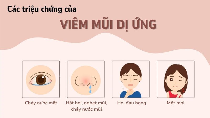Viêm mũi dị ứng: Nguyên nhân, triệu chứng, cách điều trị