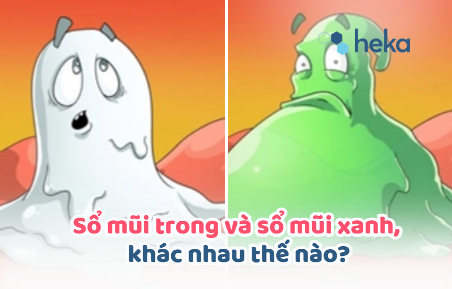 Sổ Mũi Trong Và Sổ Mũi Xanh, Khác Nhau Thế Nào?